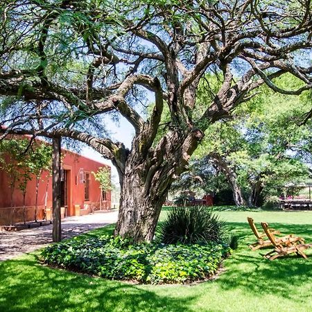 Vila Puerta Del Lobo Querétaro Pokoj fotografie