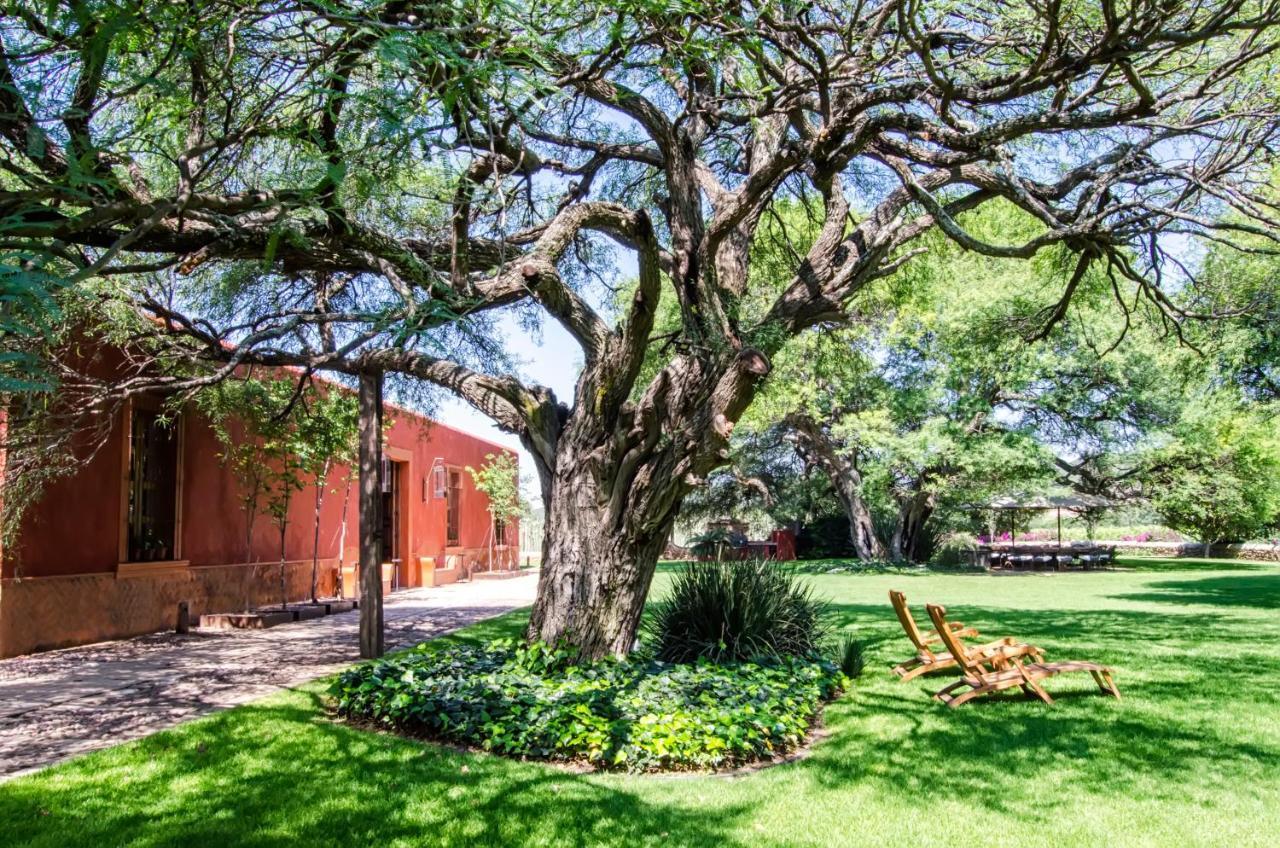 Vila Puerta Del Lobo Querétaro Pokoj fotografie